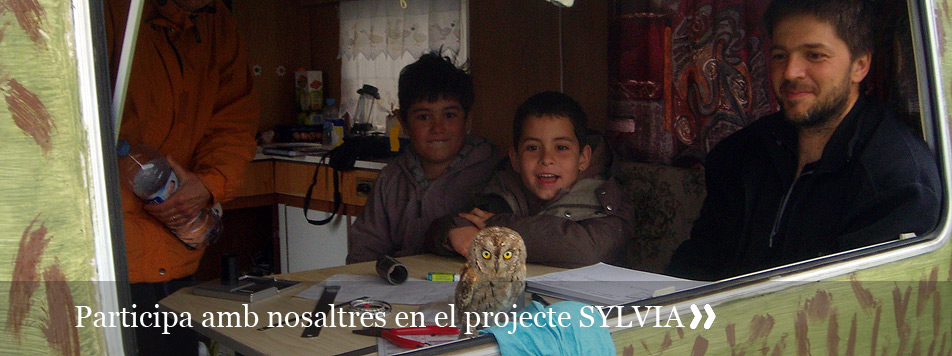Projecte SYLVIA